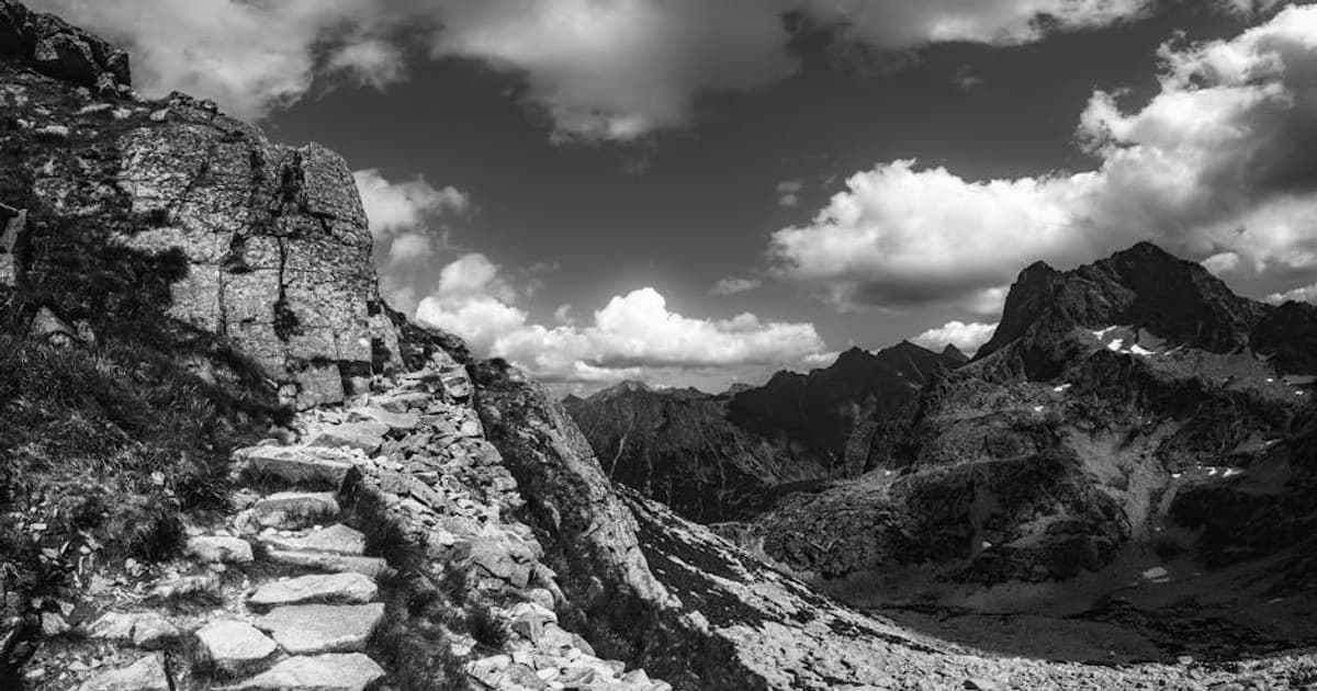 Rocky Mountain Front Wildlife Watching, Cannabis-Aware