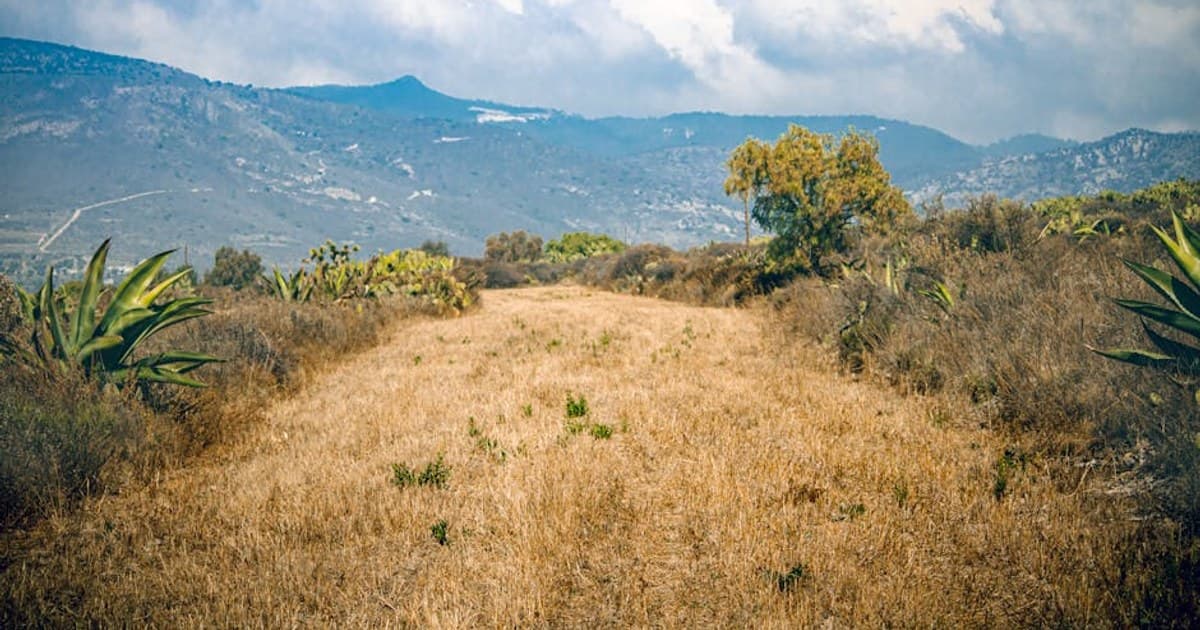Red Lodge and Lost Trail: The Lesser-Known Montana Snowboard Weekend