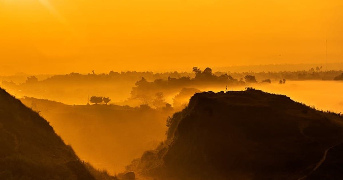 Cannabis Research: Breakthroughs and What Scientists Are Studying Now