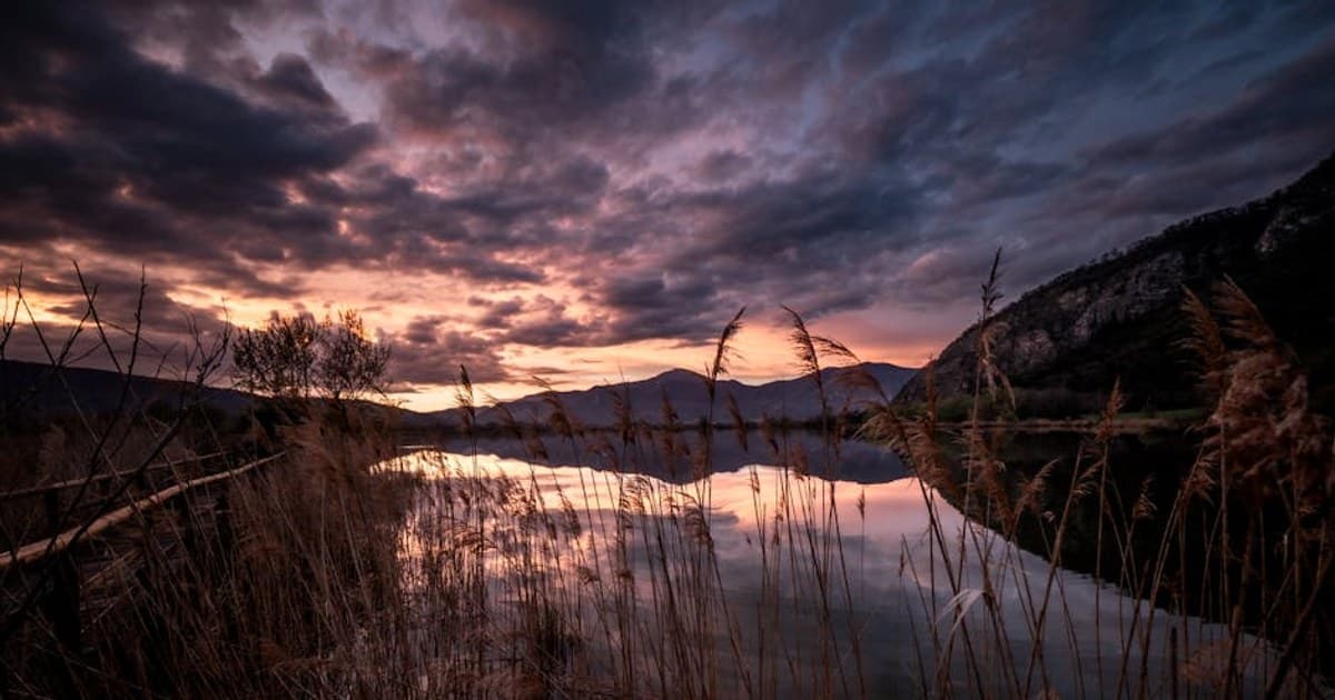 Personalized Cannabis: How Technology Is Tailoring the Experience