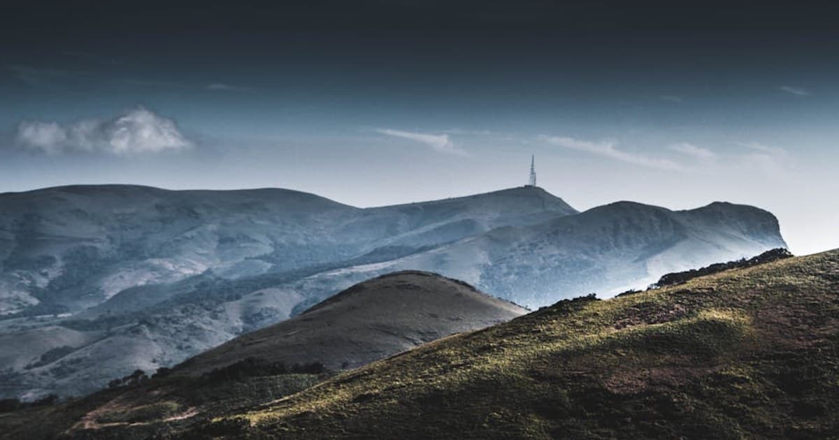 Cannabis Taxes Explained: How Much You're Really Paying and Why