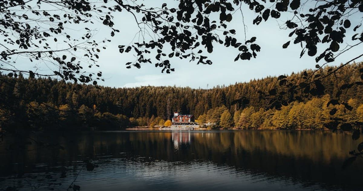 Cannabis Careers: Fast-Growing Jobs and How to Break Into the Industry