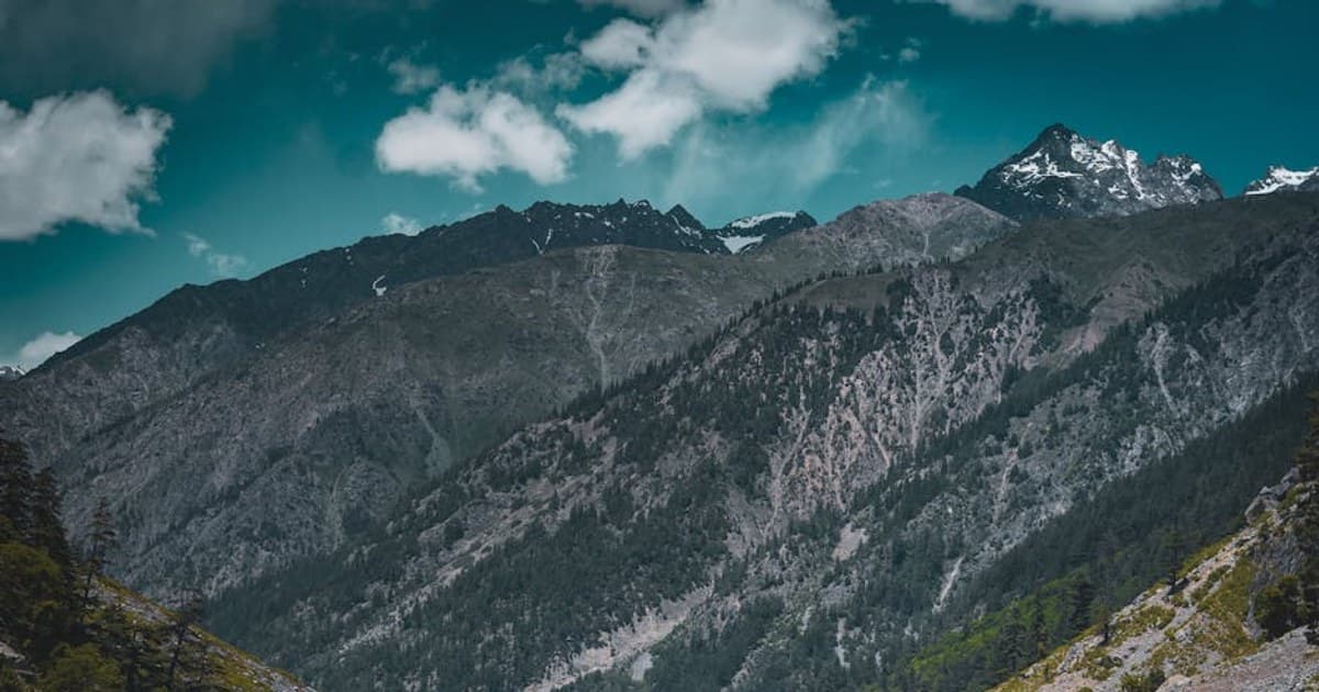 Cannabis and Sustainability: The Environmental Impact of the Industry