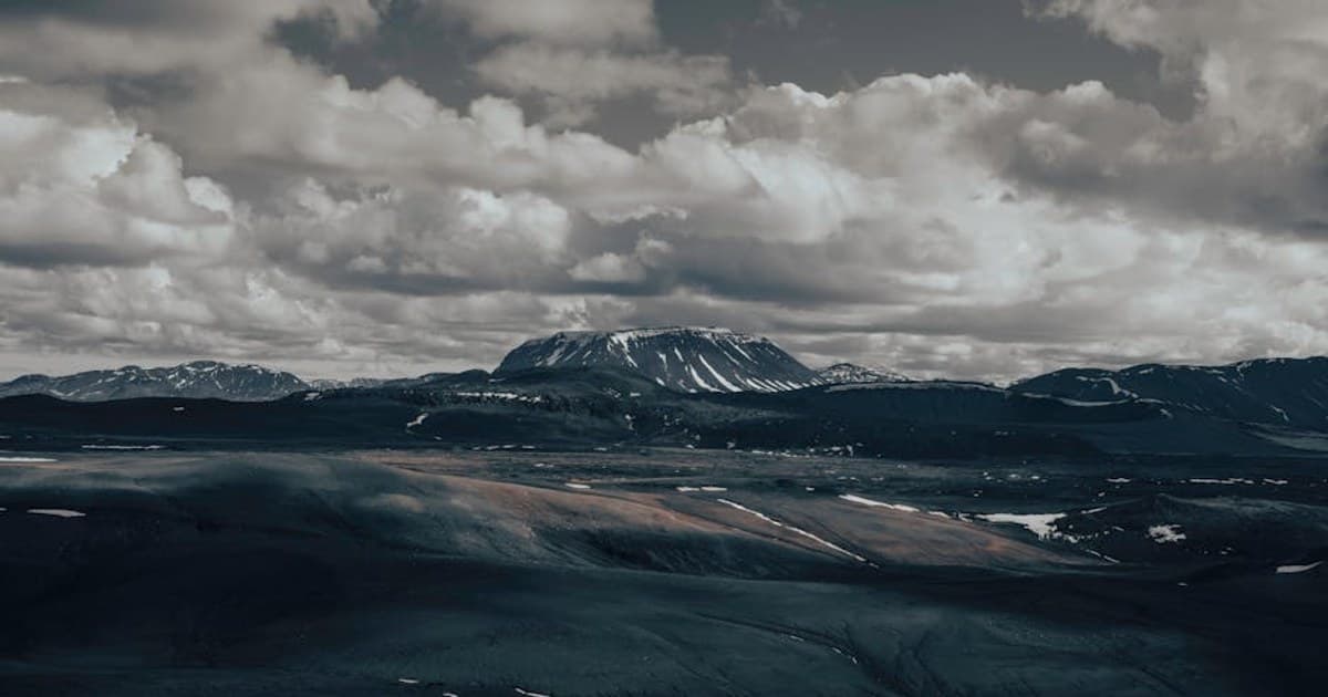 Cannabis and Pets: Is It Safe? What Every Pet Owner Should Know