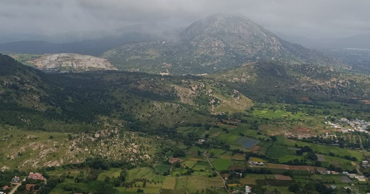 Cannabis Tolerance Breaks: What They Are and How to Take One