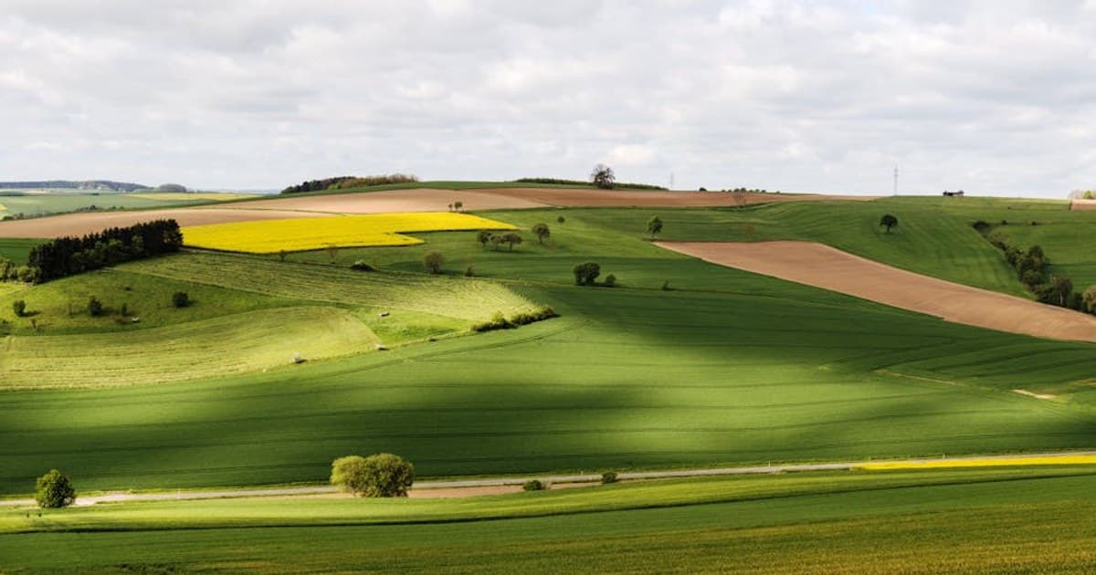 How to Store Cannabis Properly: Keep Your Flower Fresh Longer