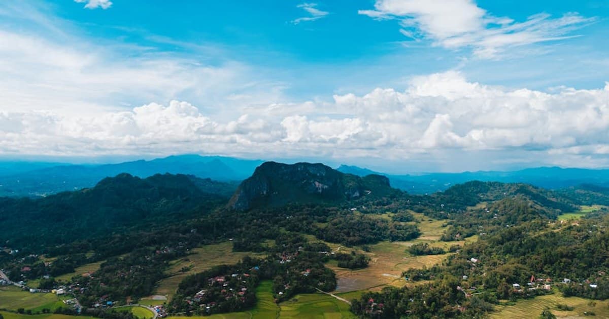 Organic vs. Conventional Cannabis: Does Growing Method Affect Quality?