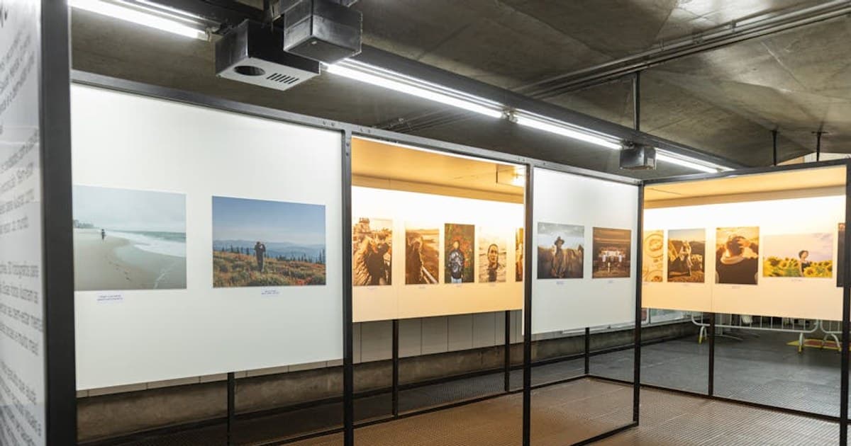 Cannabis Plant Anatomy: Flowers, Trichomes, and What Each Part Does