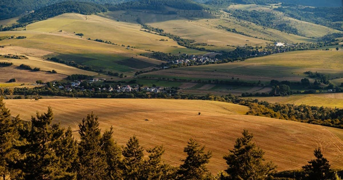 Indoor vs. Outdoor Cannabis Growing: Pros, Cons, and Key Differences