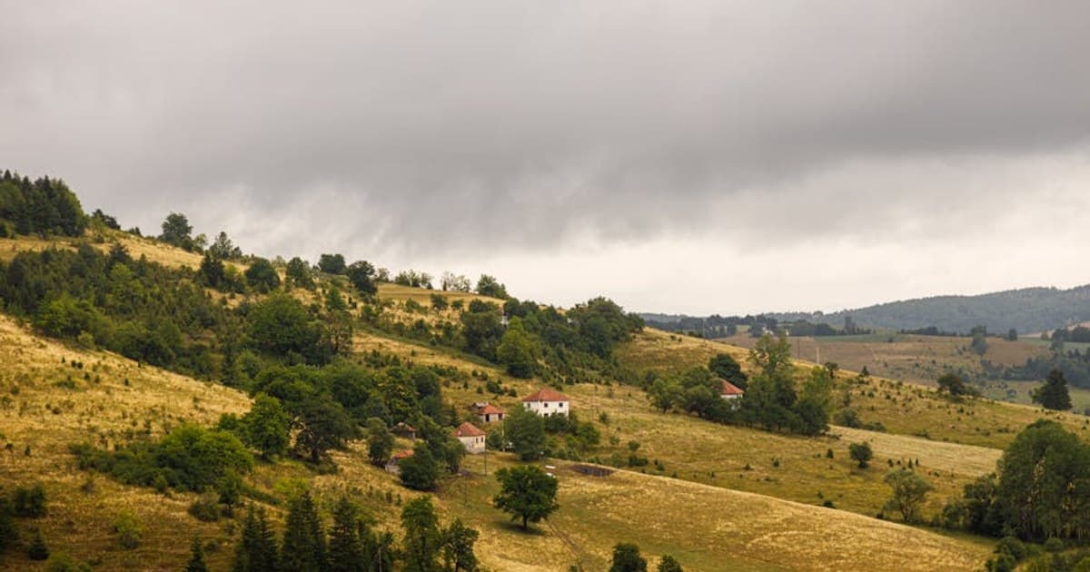 Cannabis and Opioid Reduction: What the Studies Show