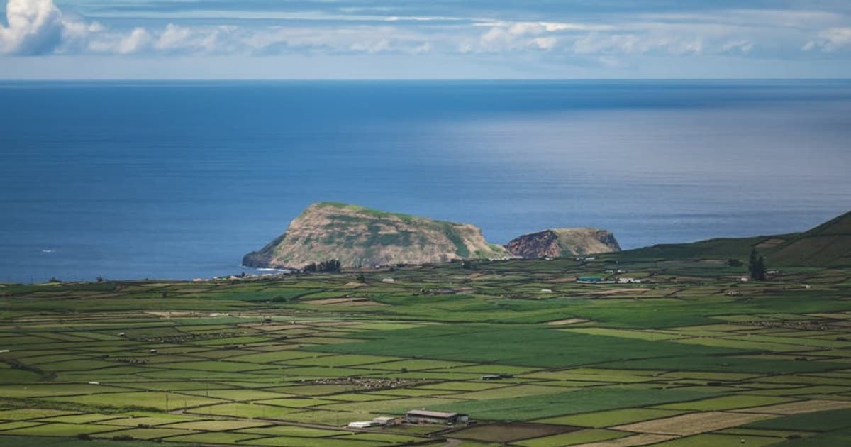 Medical vs. Recreational Cannabis: Is There Really a Difference?