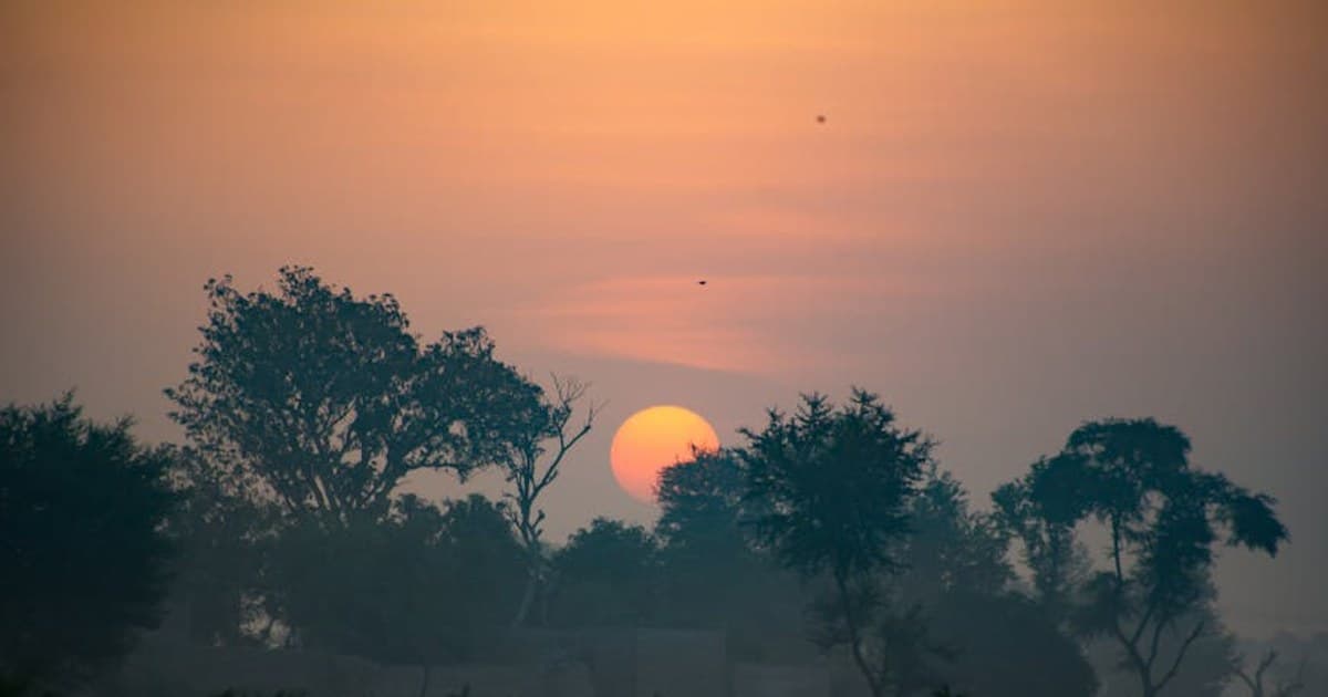 Cannabis and Epilepsy: How CBD Became an FDA-Approved Treatment