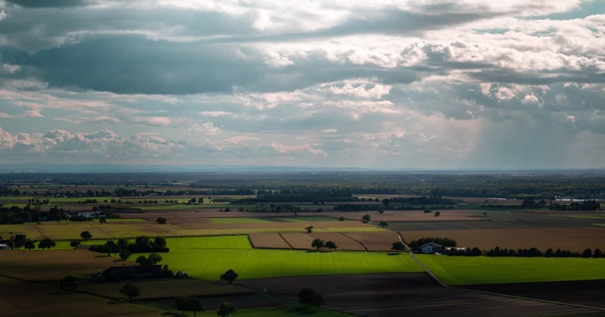 Cannabis for Cancer Patients: Managing Side Effects and Symptom Relief