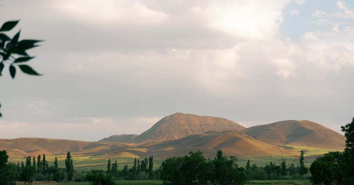 The 420 Origin Story: History, Culture, and the Modern Cannabis Holiday