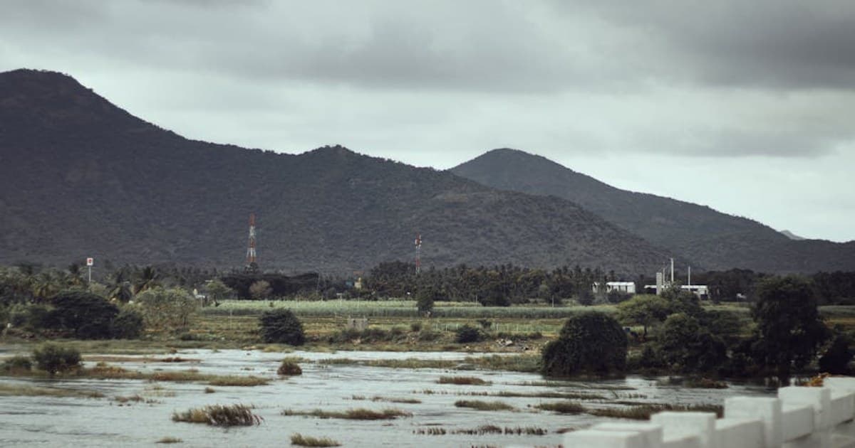 Cannabis and Creativity: What the Science Says About the Connection