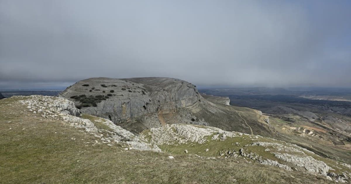 Cannabis Etiquette: The Unwritten Rules of Social Consumption