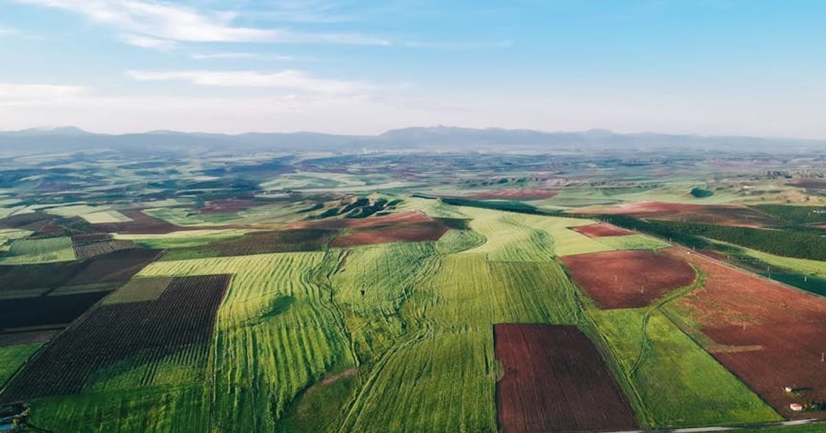 Understanding Cannabis Pricing: Why Costs Vary and How to Find Value