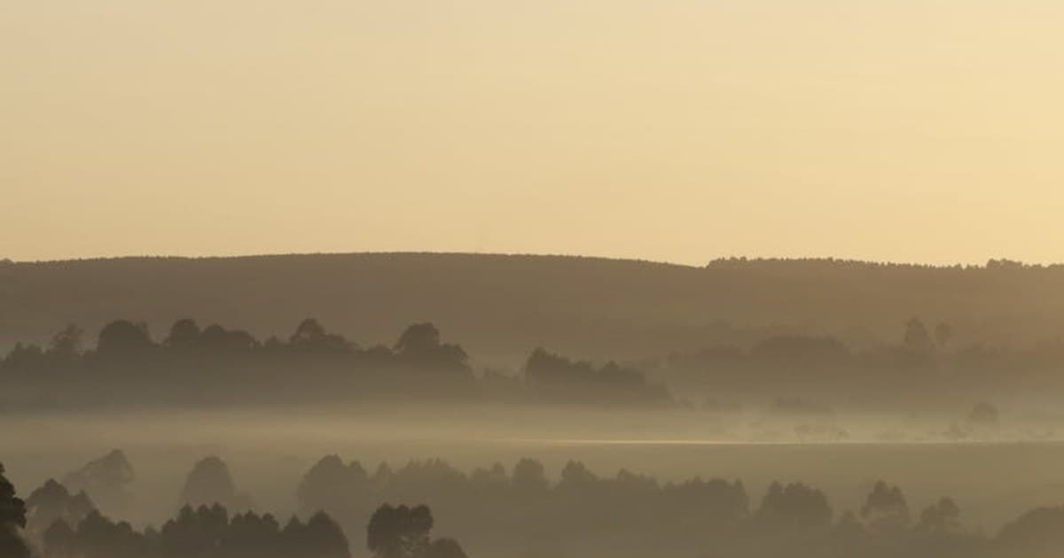 How to Choose Quality Cannabis Flower: What to Look For