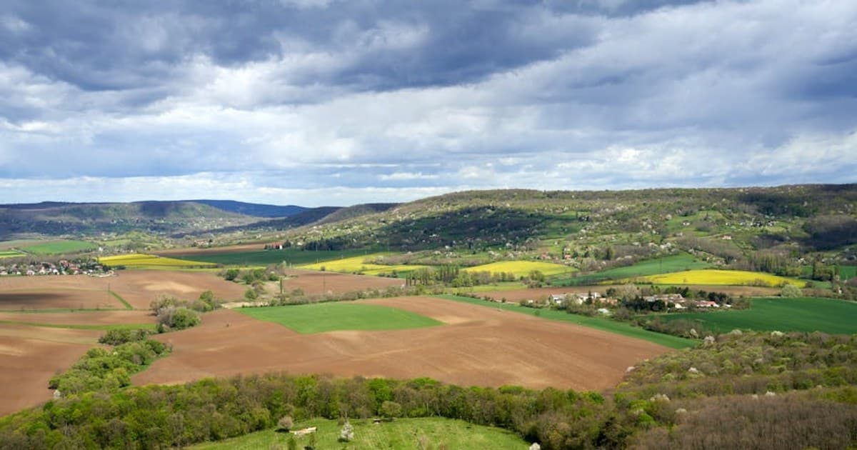 Medical vs. Recreational Dispensaries: Key Differences Explained