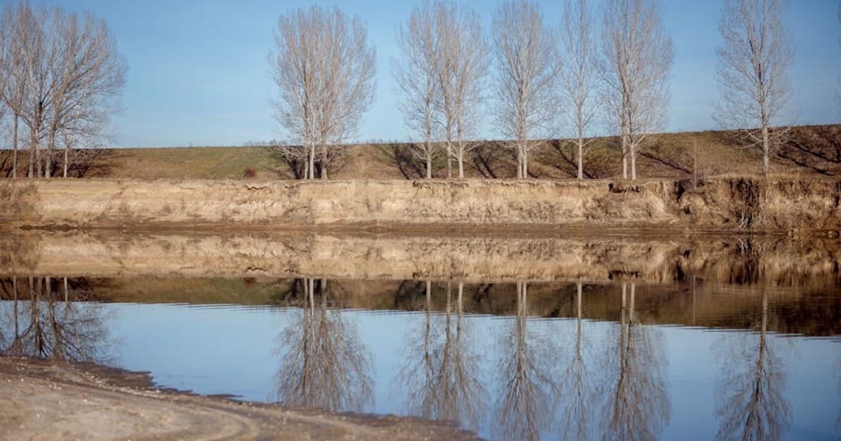 Cannabis in the Workplace: Drug Testing, Employment Law, and Your Rights