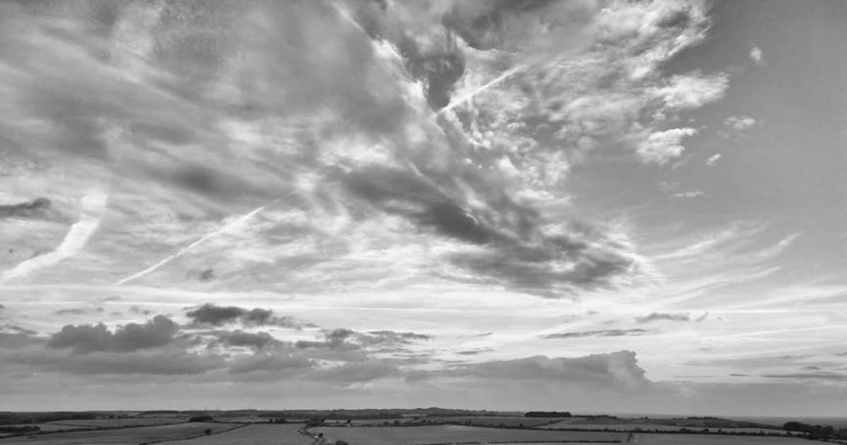 Myrcene, Limonene, Linalool: A Guide to the Most Common Terpenes