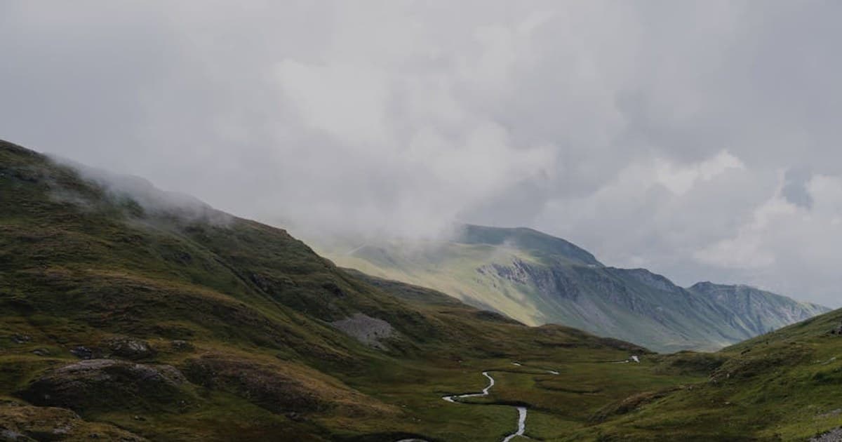 THCA Explained: What It Is and Why It's Trending