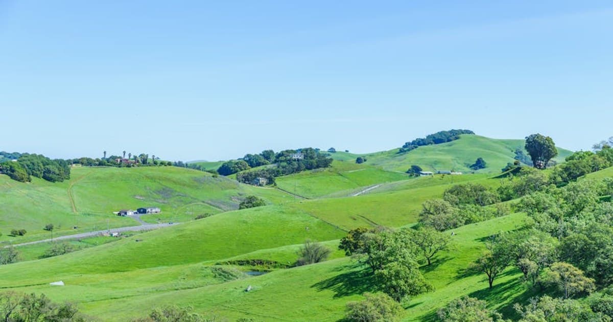 CBG Explained: Benefits, Uses, and How It Differs from CBD