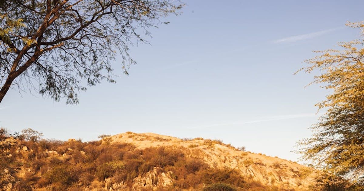 CBN for Sleep: Is It the Next Big Cannabinoid?