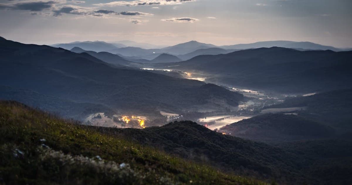 The Entourage Effect: Why Whole-Plant Cannabis May Work Better