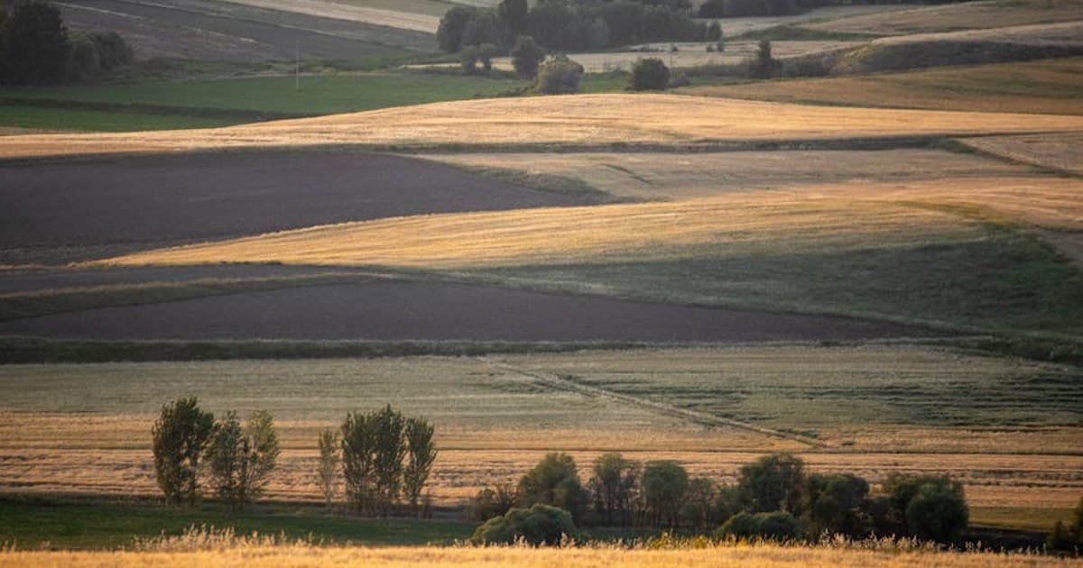 Cannabis and Weight Management: What the Research Reveals