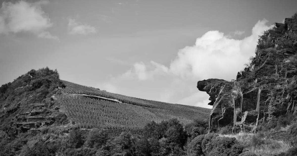 Cannabis-Infused Skincare: Does It Work?