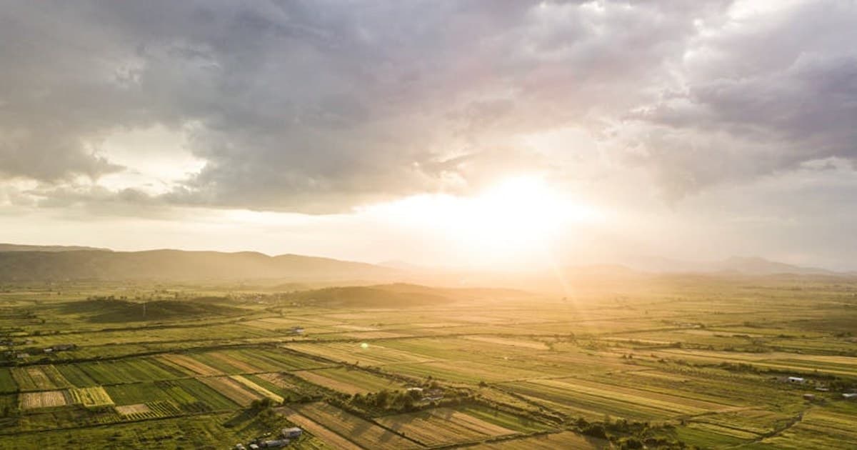 Cannabis and Women's Health: Menstrual Pain, Menopause, and Beyond