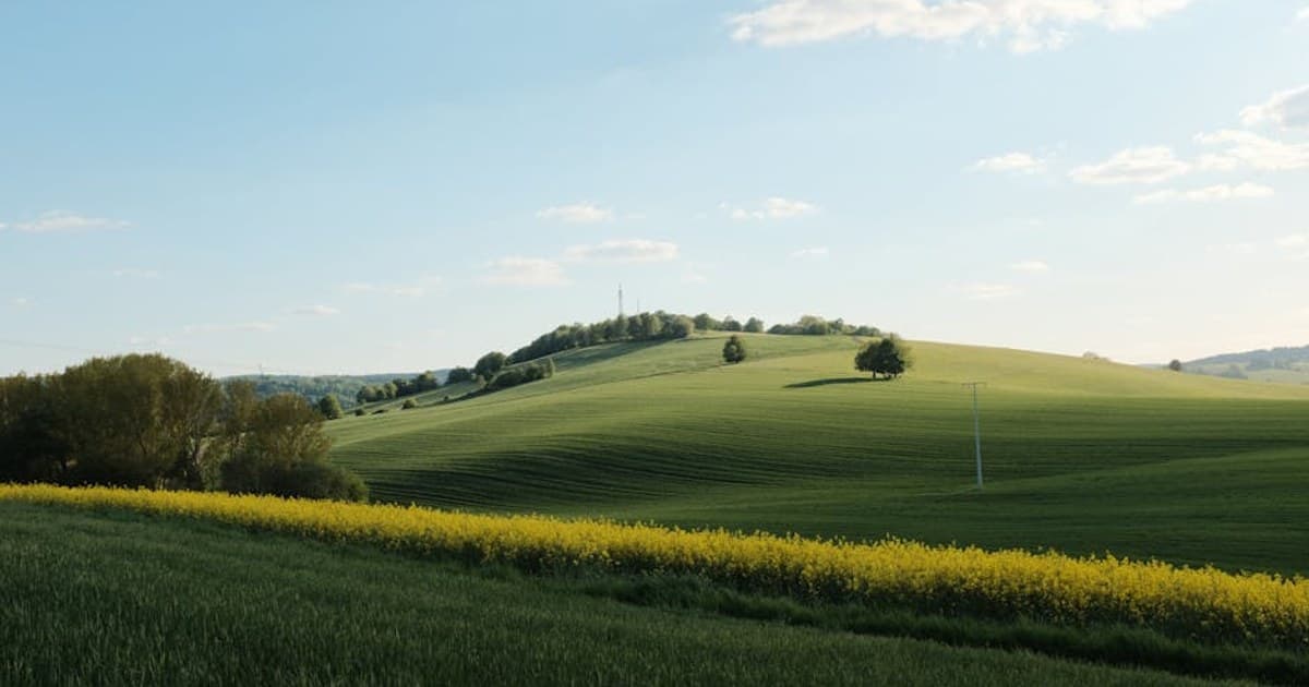 Cannabis vs. Alcohol: Health Comparisons and Harm Reduction