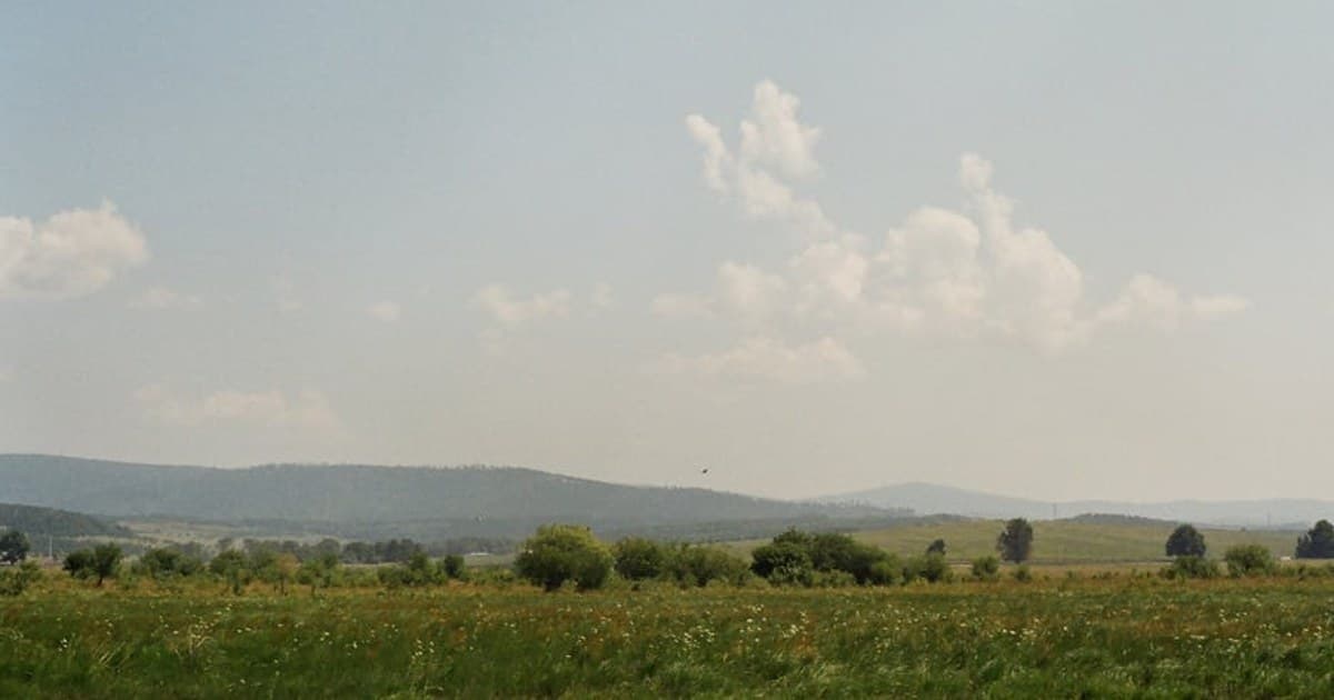 Cannabis and Nausea: Why It Works and Best Products for Relief