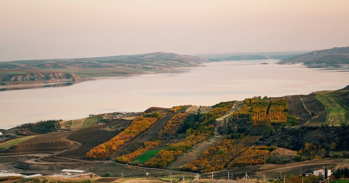 Cannabis and Driving: Laws, Risks, and What the Research Shows