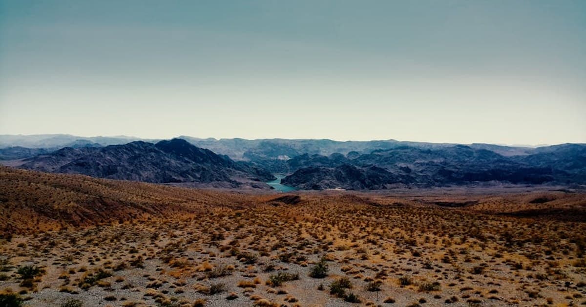 How to Read a Cannabis Product Label: Lab Results, Potency, and More