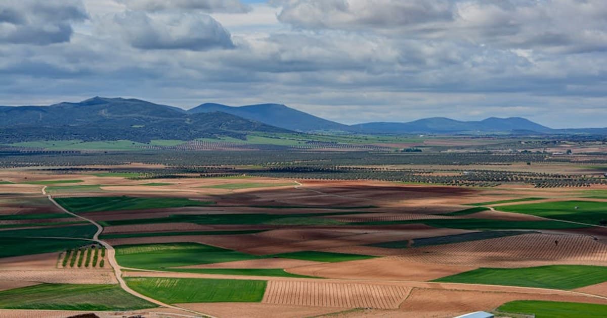 Cannabis and Drug Interactions: What to Know If You Take Medication