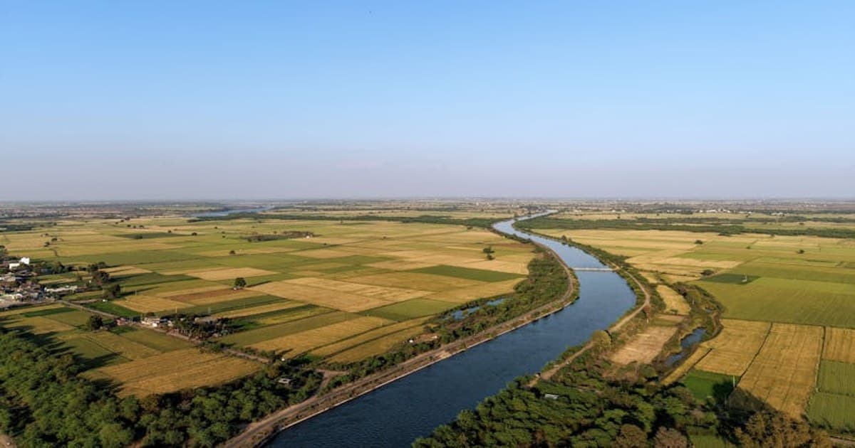 Live Resin vs. Live Rosin vs. Distillate: What's the Difference?