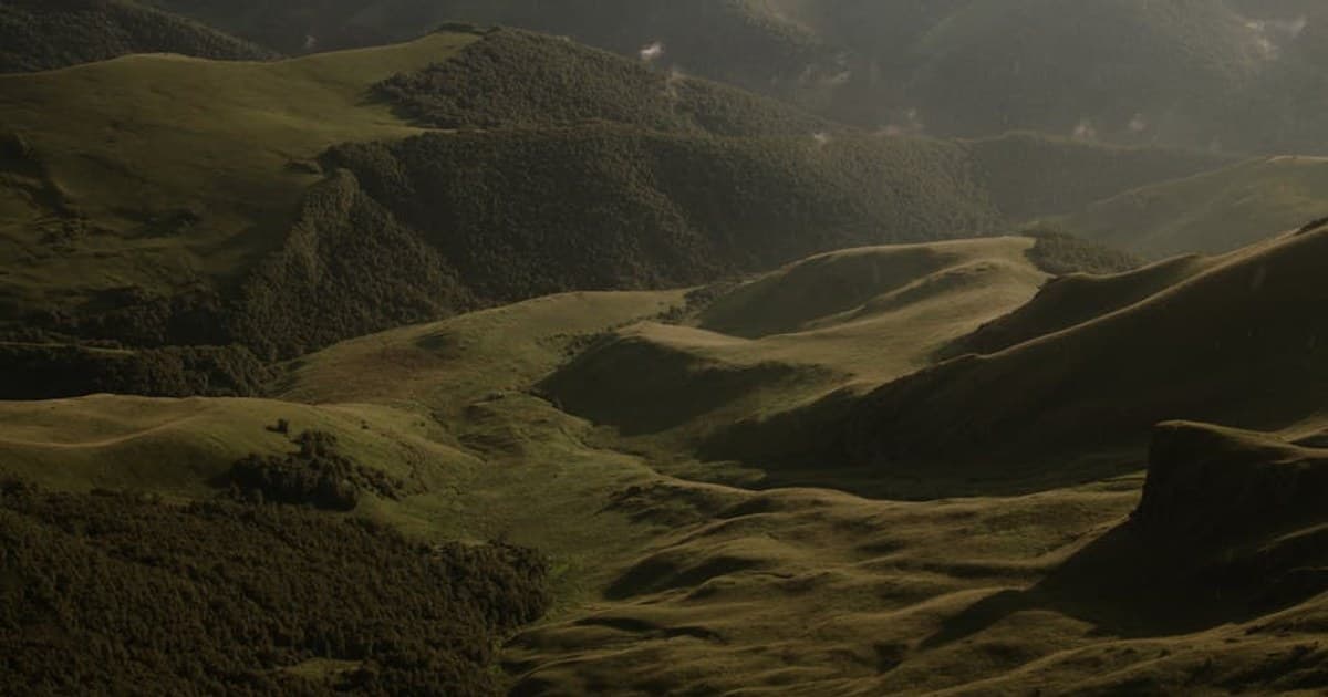 Pre-Rolls Explained: Why They're the Fastest-Growing Cannabis Category