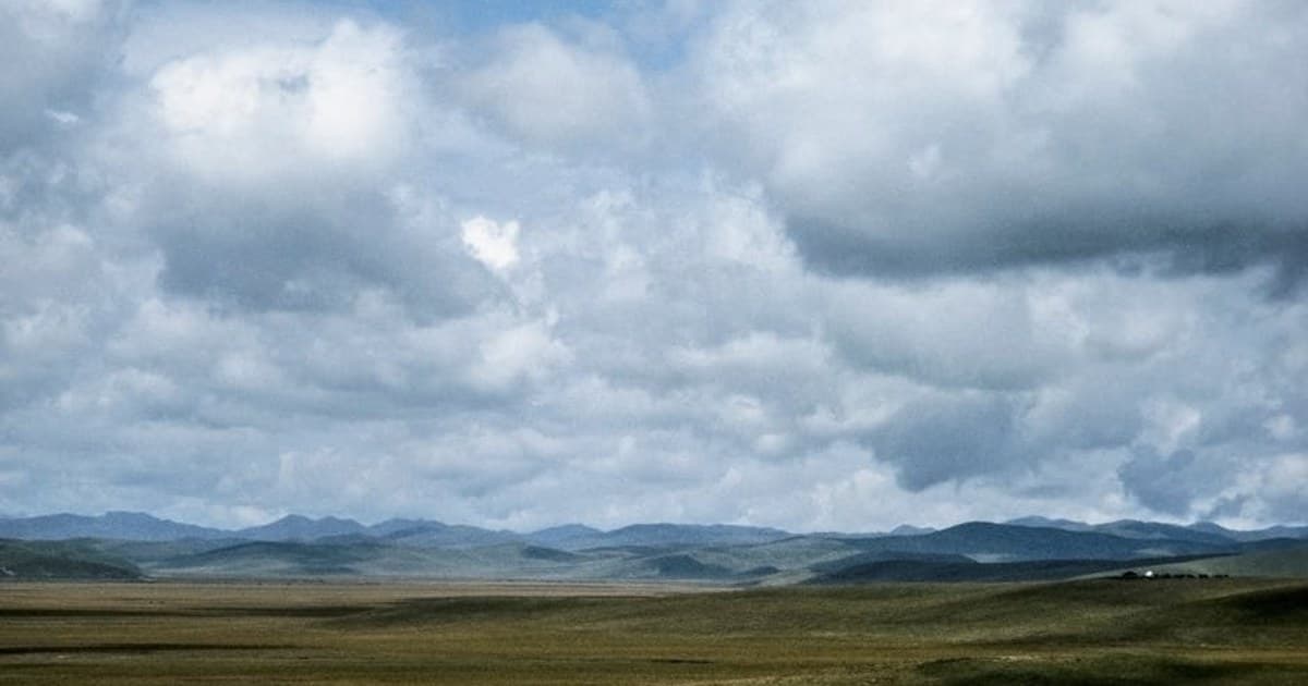 Cannabis Concentrates and Extracts: A Beginner's Overview