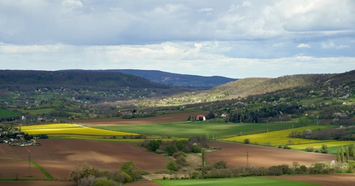 Cannabis Tinctures Explained: How to Use Them and Find the Right Dose