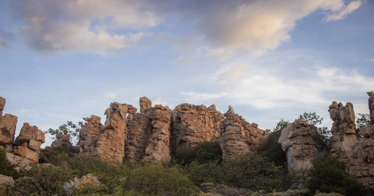 The History of Cannabis: From Ancient Medicine to Modern Legalization