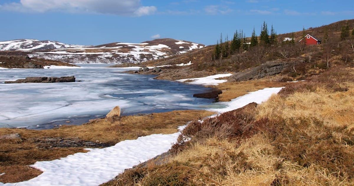 Cannabis Terminology 101: A Glossary of Terms Every Consumer Should Know