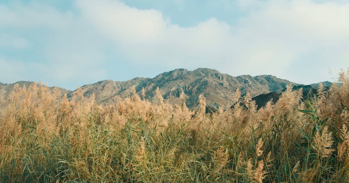 Norris and Quinn's: Southwest Montana Hot Springs, Cannabis-Aware