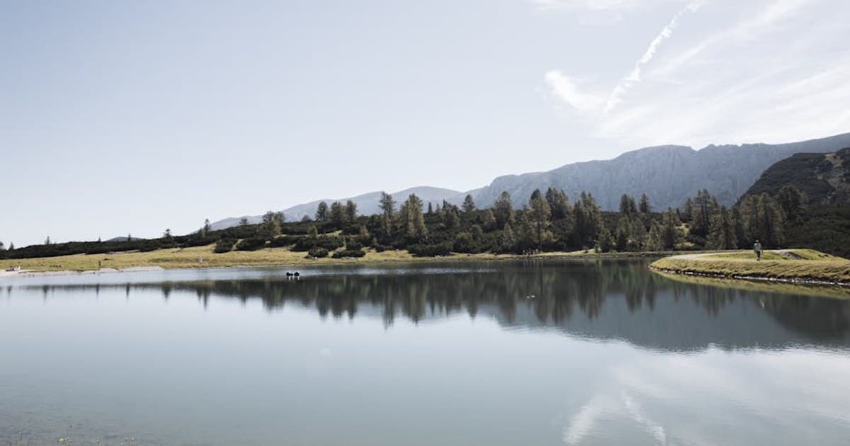 Montana Indoor Grow: What a Long Winter Demands