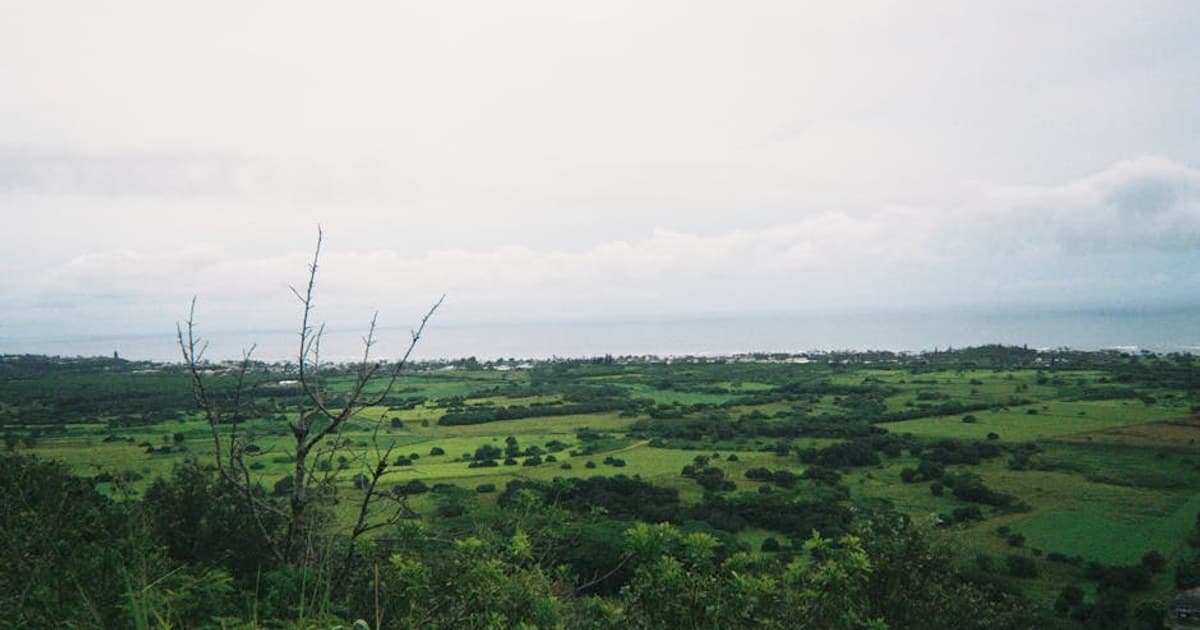 Helena and Butte: The Capital and the Mining-Town, Cannabis-Aware