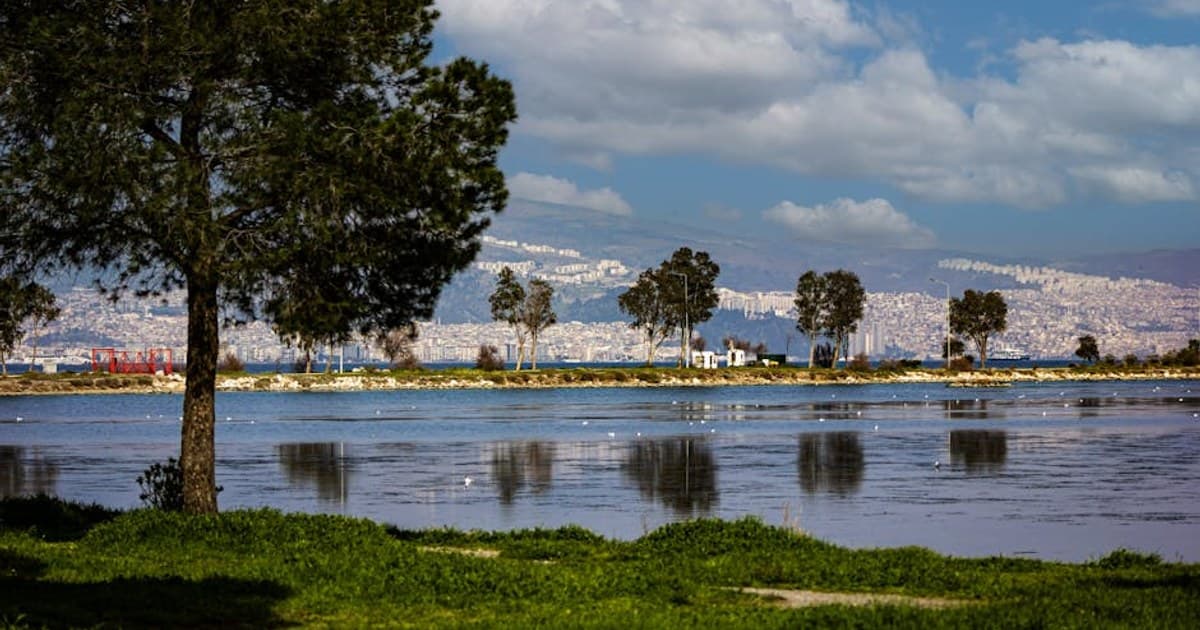 Bozeman: The Boom-Town Cannabis Weekend