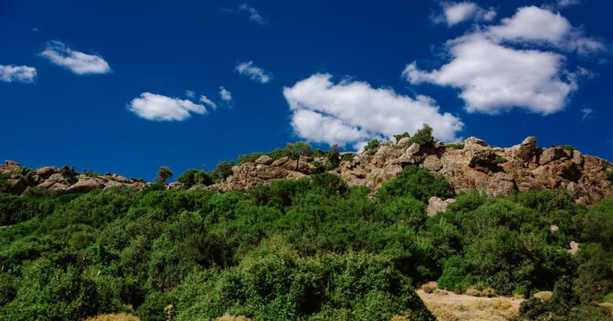 Gardiner and Big Sky: The North and West-Flank Yellowstone Gateways, Cannabis-Aware