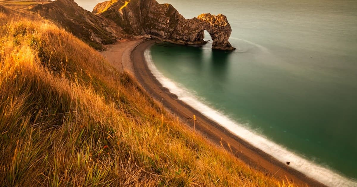 The Cannabis Beverage Boom: Why THC Drinks Are Disrupting the Alcohol Market