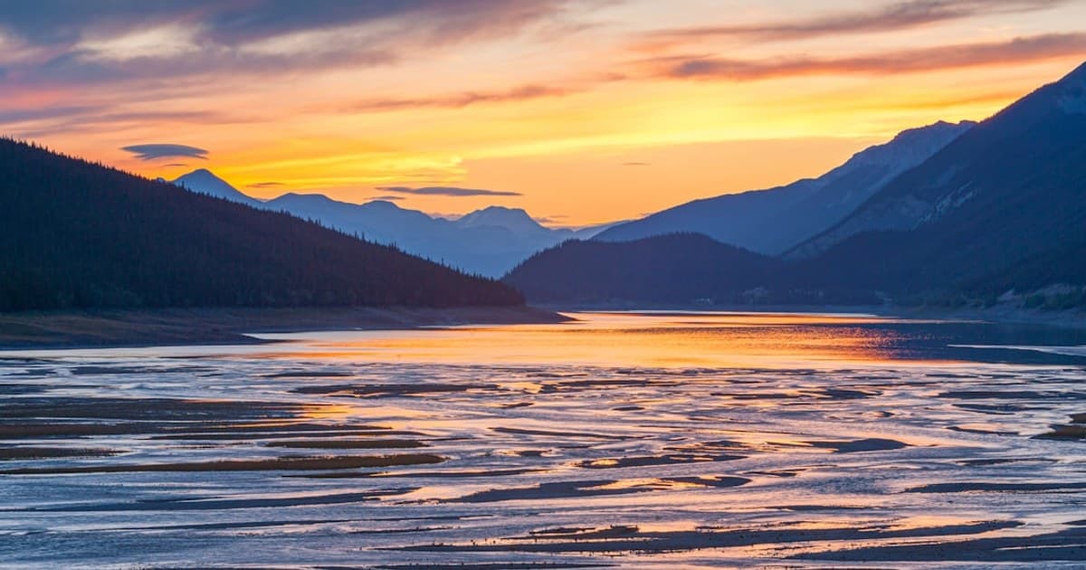 Hemp vs. Marijuana: Legal Definitions and Why They Matter